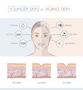 A woman 's face with different stages of aging.